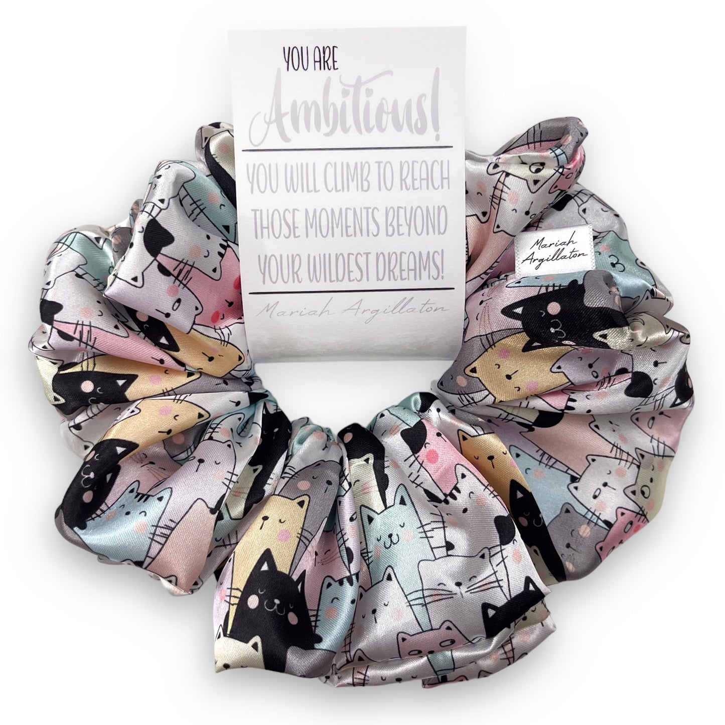 You Are Ambitious! XL Scrunchie!